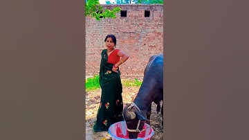 #Raja chhod do na Daru hamare liye #trending #bhojpuri dance#Bhojpuri song 👍