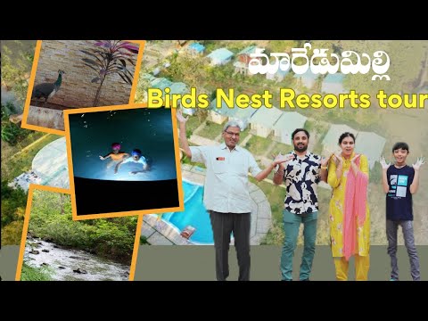 మారేడుమిల్లి బర్డ్స్ నెస్ట్ రిసార్ట్ టూర్