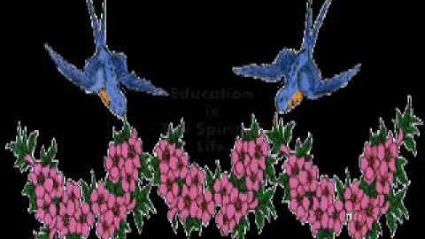 Re : my 5 for Education #2