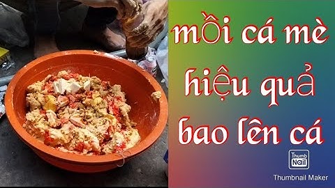 Hướng dẫn làm mồi câu cá mè hiệu quả.