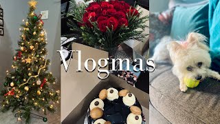 #VLOGMAS 1| Christmas Tree Shopping, Coco&#39;s first grooming, Mama&#39;s HOME! | ItsEsiya