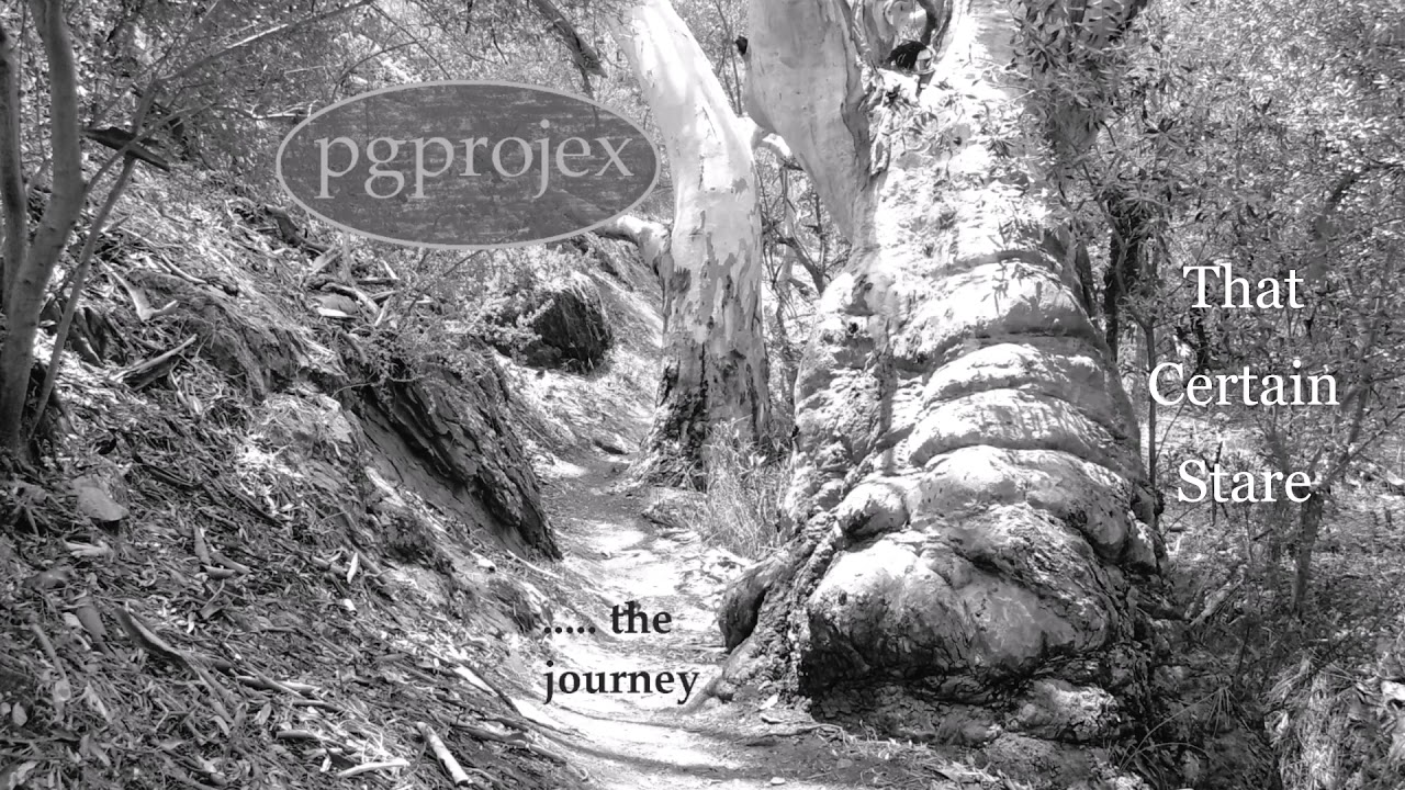 pgprojex - That Certain Stare  