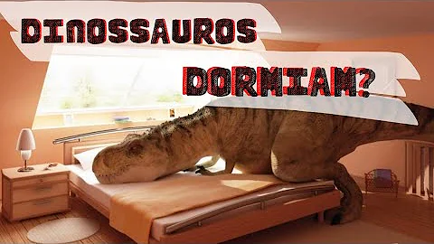 Como os dinossauros dormem?