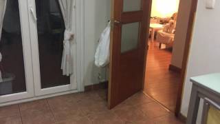 Reaccion Perrita Al Verse Reflejada Por Primera Vez