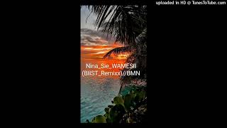Wamesii--Nina Siebiist-Remiix2024