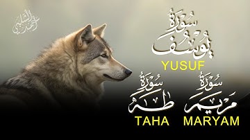 أروع القصص وأجمل التلاوات سور يوسف,مريم,طه|القارئ أحمد الشلبي