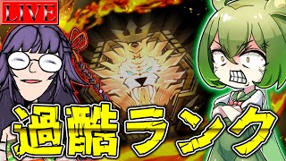 ぶんぶんの配信のサムネイル画像