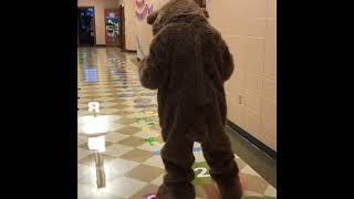 Active Hallway - Teddy's Turn