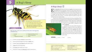 Unit 5 A Bug's Sleep