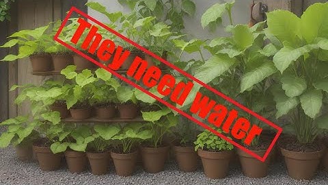 Homemade Smart Gadget: Monitor Plants