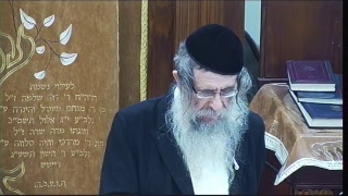 הרה"ג הרב ווכטר שליט"א כ"ט תמוז תשע"ח  -  ליקוטי תורה פ' מטות ד"ה וידבר משה חלק א'