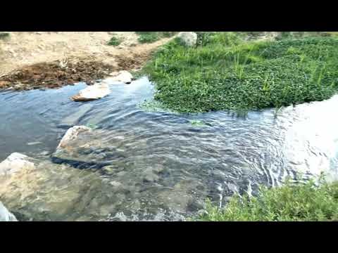  راس العين