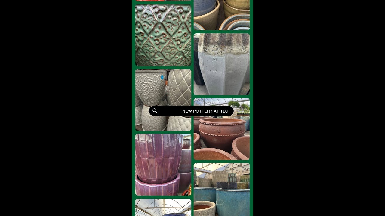 New Ceramic Pottery at TLC!