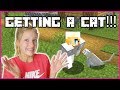 GETTING A NEW CAT!!!