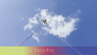 Tie Dye 46-inch Delta Kite | KiteGarden.com