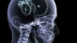Universe, Mind, or Universal Mind?