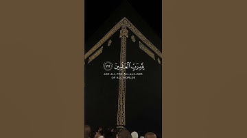 سورة الأنعام { القارئ: ياسر الدوسري } أكتب شيءٍ تؤجر عليه