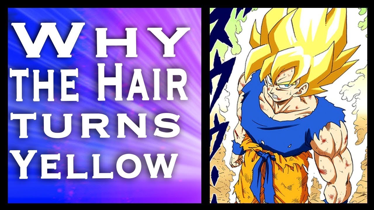 Learn Why Super Saiyan's Have Blond Hair