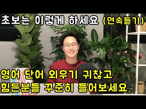 초보를 위한 핵심 영어 단어장 세트로 외우기 연속듣기 #2 (5-8강)