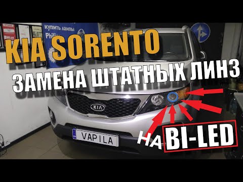 Video: Kia Sorento ua qhov twg?