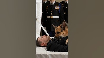 K9 Police Dogs Funeral Processions.Loyalty and Devotion #funeral #policedog #shorts #police