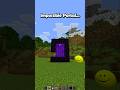 Minecraft Verity Portal...🤯