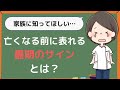 【緩和ケア病棟】最期に表れる3つの重要サインとは？後悔しないために家族が出来ること