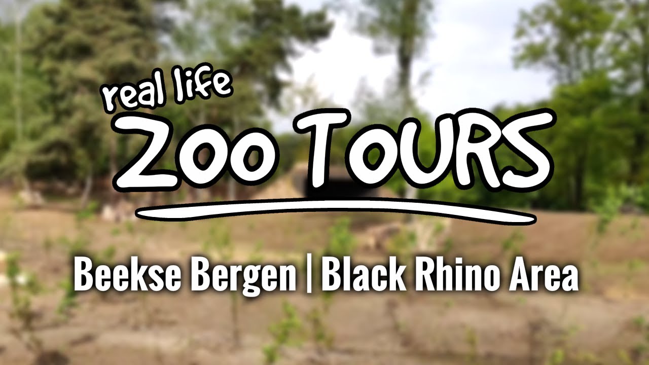 Beekse Bergen's new Black Rhino Area! | Real Life Zoo Tours