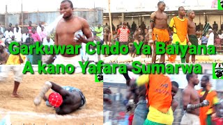 Yau Garkuwar Cindo Ya Bai Yana A Kano Yafara Sumarwa Damben Mota Kuma Gura Mada Sunyi Kisa