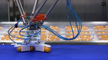 MULTIVAC Group Automated Packaging Line Solution for Curved Sausages