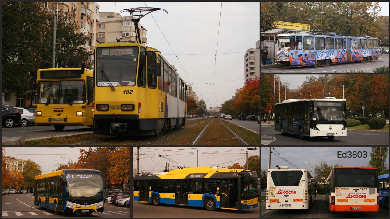 Transportul public în PLOIEȘTI