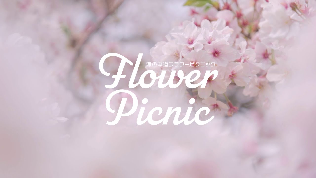 Flower Picnic 海の中道海浜公園 Youtube