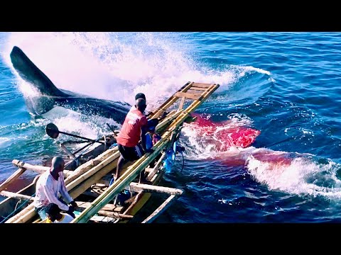クジラと人間の命懸けの戦い、世界初成功した鯨漁の空撮も／映画『くじらびと』予告編