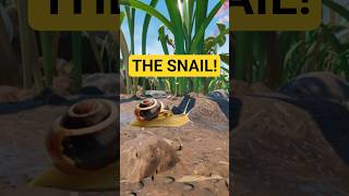 The NEW Bugs in Grounded
