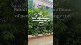 Happy Environment day 2026💚💚 #nature #environment #sustainableliving #youtubeshorts
