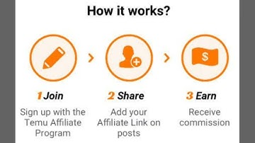 How to Earn Up To $100,000 a Month With TEMU Affiliate Program 2025