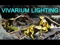 Vivarium Lighting!