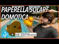 Questa Papera Stampata in 3D ha Smartizzato la mia Piscina!