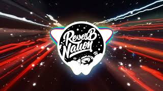 Ptasinski - Light Reverb