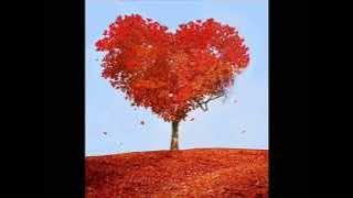 Aku Cuma Punya Hati - Mytha Lestari with lyrics