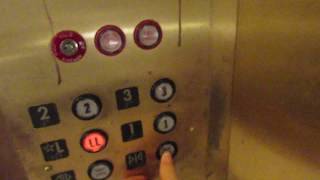 SX530 Take: Montgomery Hydraulic Elevators @ Macy's - Southdale Center - Edina, MN