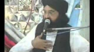 Peer Naseerudin Naseer R A  06 02