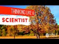 Mastering Leaf Classification Through Scientific Observation
