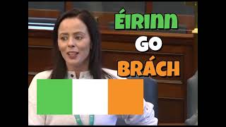 Why is Senator Eileen Flynn "Scared" of the Irish Flag?