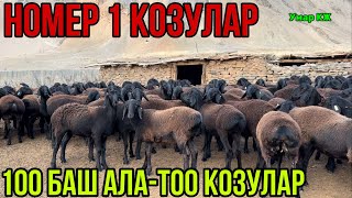 видео: 100 Баш Элита Козулар Чыкты🙋🏻♂️🔥🚚✅ картинка: 100 Баш Элита Козулар Чыкты🙋🏻♂️🔥🚚✅
