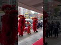 祥獅瑞鼓財神納福 #舞龍舞獅 #舞獅表演 #開幕活動 #開幕典禮 #財神爺 #財神降臨 #開市大吉 #開運招財 #剪綵儀式 #企業開幕 #農曆新年 #春節活動 #過年表演 #新春開運 #迎財神