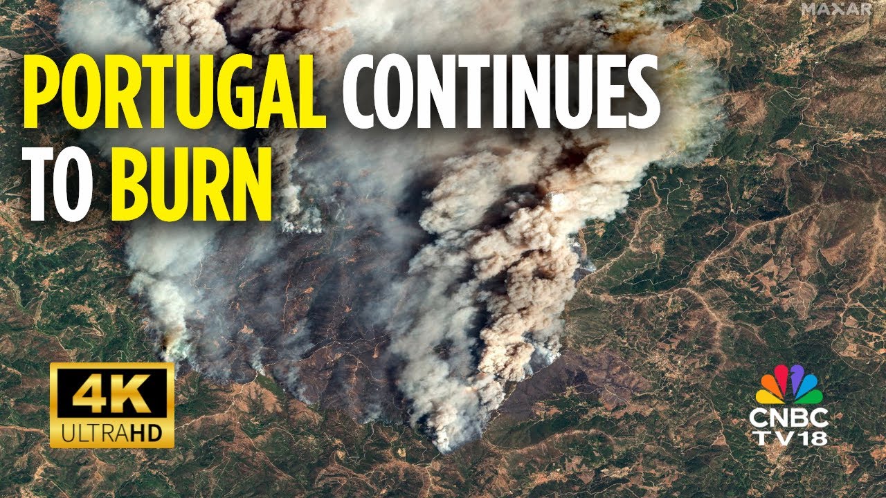 Thousands Of Firefighters Battle 8 Large Fires In Portugal | Portugal News | 4K |  N18G