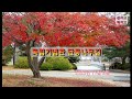 독립기념관 단풍나무 숲길
