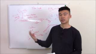 USMLE Biochemistry 12 Urea Cycle