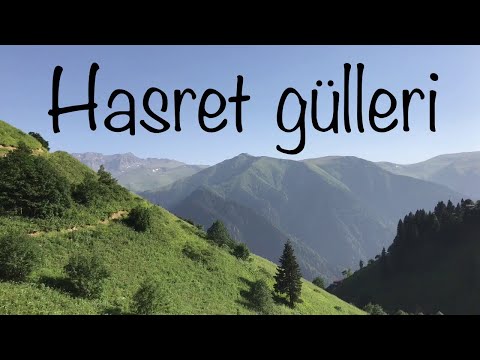 Hasret gülleri | Muziksiz Ilahi